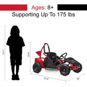 FRP 1000w electric go kart for kids age recommendation - 11